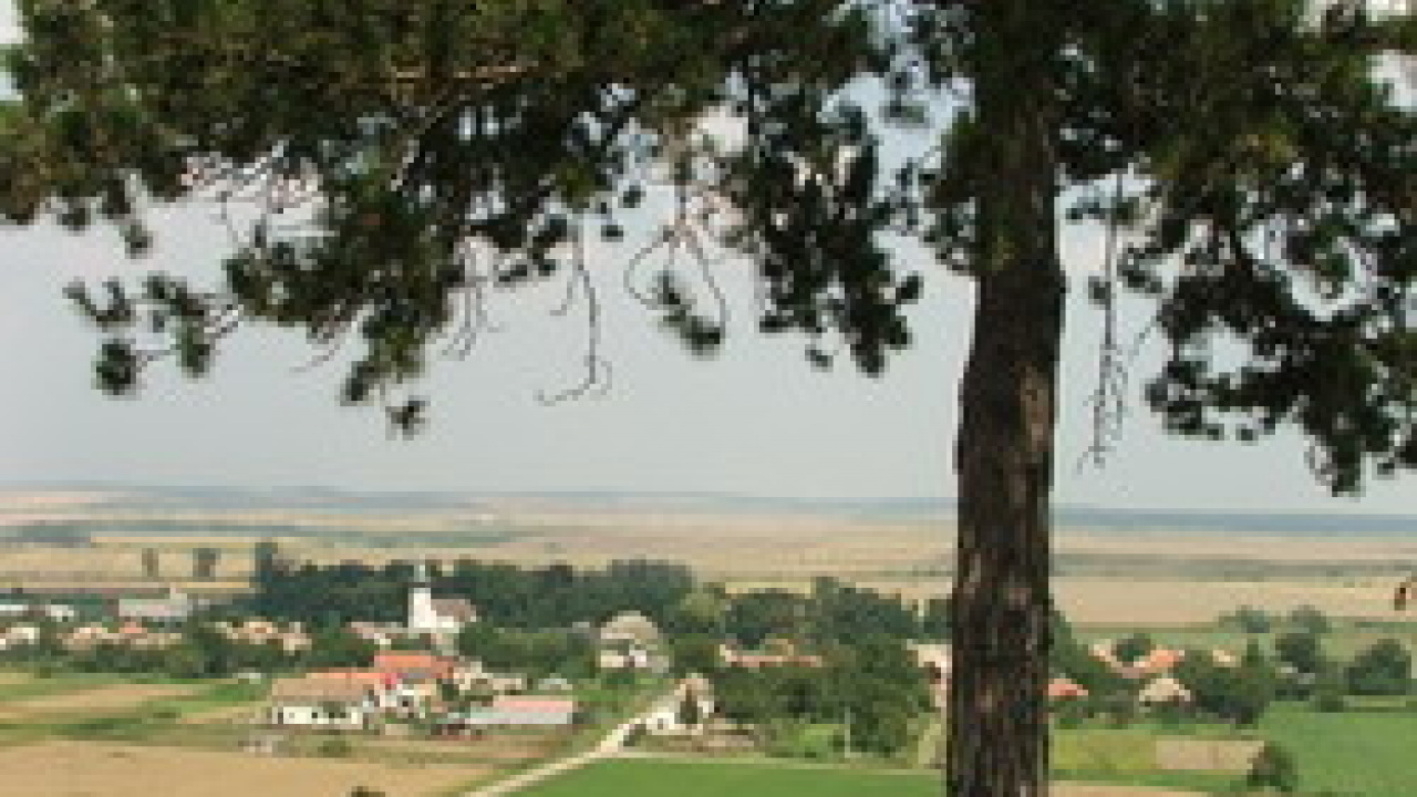 Fotografia fotogalérie Obec