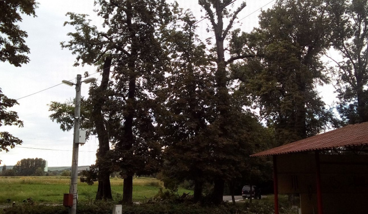 2. fotografia fotogalérie Projekty / Obnova NKP - Revitalizácia parku 2020 - foto