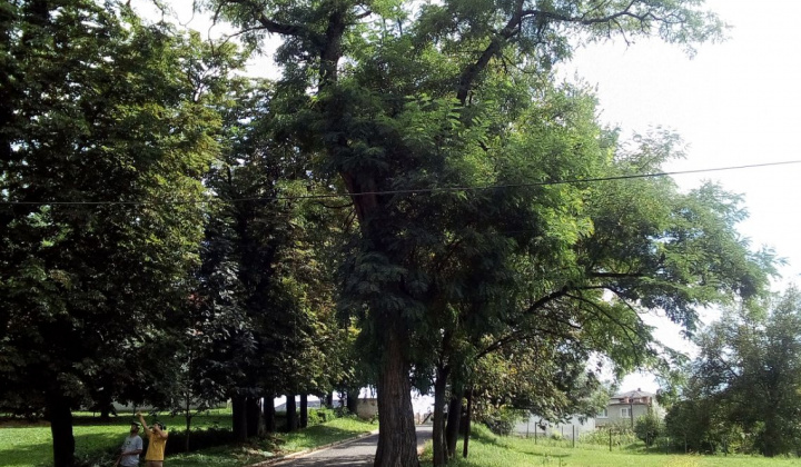 4. fotografia fotogalérie Projekty / Obnova NKP - Revitalizácia parku 2020 - foto