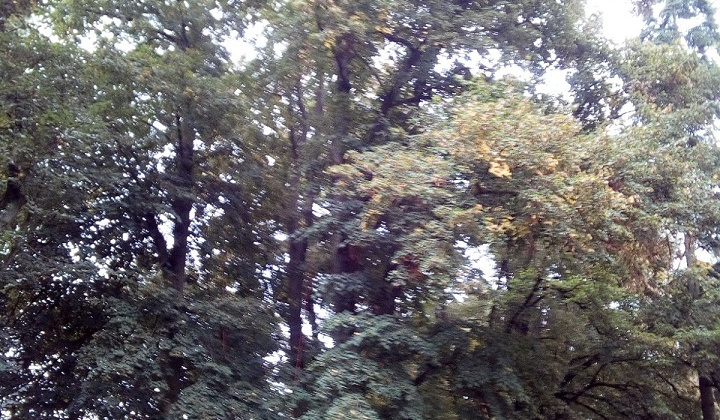 2. fotografia fotogalérie Projekty / Obnova NKP - Revitalizácia parku 2021 - foto